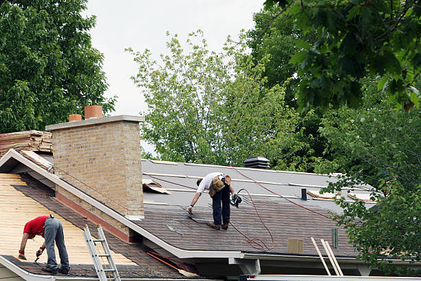 Best Metal Roofing Contractor  in Johnstonville, CA