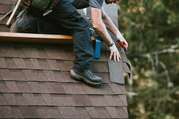 Best Local Roofing Companies  in Johnstonville, CA